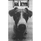 Bad Breed