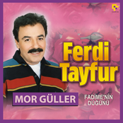Mor Güller / Fadime'nin Düğünü