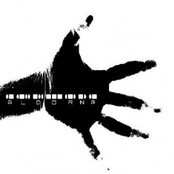 Battered Brains and Wasted Words