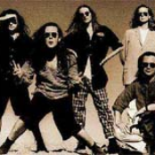 The Wonder Stuff