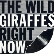 Move It On Over by The Wild Giraffes