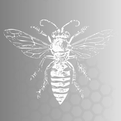 Pants Were a Bad Idea