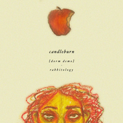 Rabbitology: CANDLEBURN (Dorm Demo)