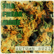 autumn buzz