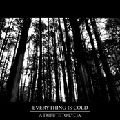 Everything Is Cold (A Tribute To Lycia)