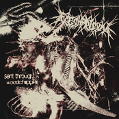 Sent Through a Woodchipper