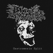 Split w/ Gastromesis