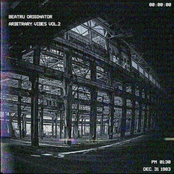 Arbitrary Vibes, Vol. 2