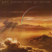 David Sancious: Forest of Feelings