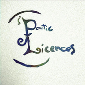 Poetic Licence