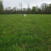 ubiquitous, sometimes