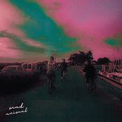 The Vapor Tape (vol.1)