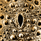 SOL. Live at Transmissions Waves