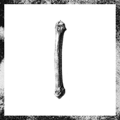 Les Valeurs De L'Aube