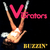 Peace Mission by The Vibrators