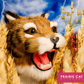 King Of Thunder Bay by Prairie Cat