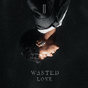 Wasted Love