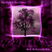 Act I - The Forest and the Shelter