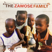 Small Things Fall From The Baobab Tree