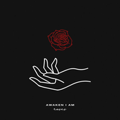 Awaken I Am: Roses