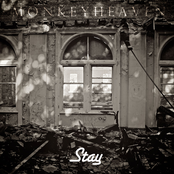 Stay