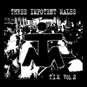 T.I.M. Vol. 2