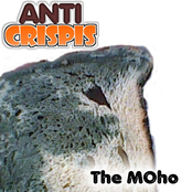 The MOho (Demo)