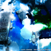 1000 Clouds - Grey Hill 135 Treated -