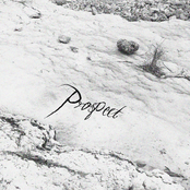Prospect