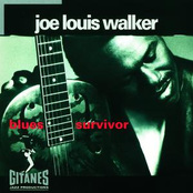 Blues Survivor by Joe Louis Walker