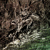 ENTERING THE WITCHES COVEN