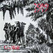 Cry Wolf