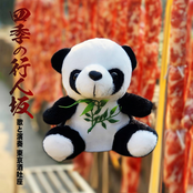 Gyouninnzaka for Four Seasons