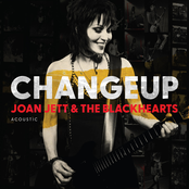 Changeup cover