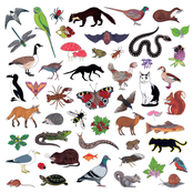 Modern Nature: Island of Noise