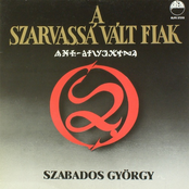 A szarvassá vált fiak