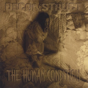 Deconstruct: The Human Condition