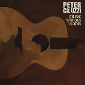 Peter Ciluzzi: Music Without Words