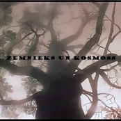 Zemnieks un Kosmoss