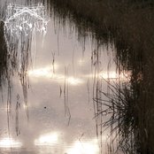 sonnelism landscape