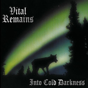 Into Cold Darkness by Vital Remains