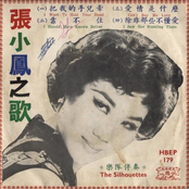 張小鳳之歌