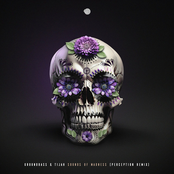 Sounds of Madness (Perception remix) - Single