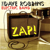 dave robbins electric band