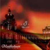 -S-発情フォビア