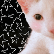 Silly Gay Bweakcore Awbum :3 - EP