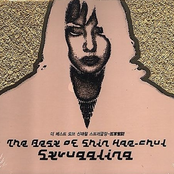 Struggling - 고군분투 (孤軍奮鬪) (The Best Of Shin Hae-Chul)