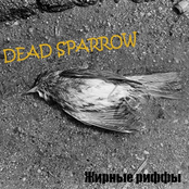 Dead Sparrow