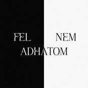 Fel nem adhatom