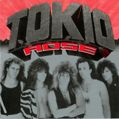 tokio rose